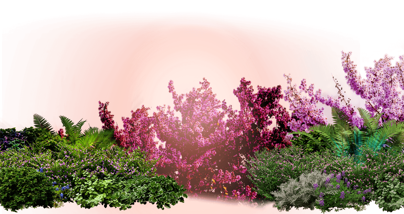Eine Landschaft mit Büschen, Blumen und Kirschblüten im Hintergrund